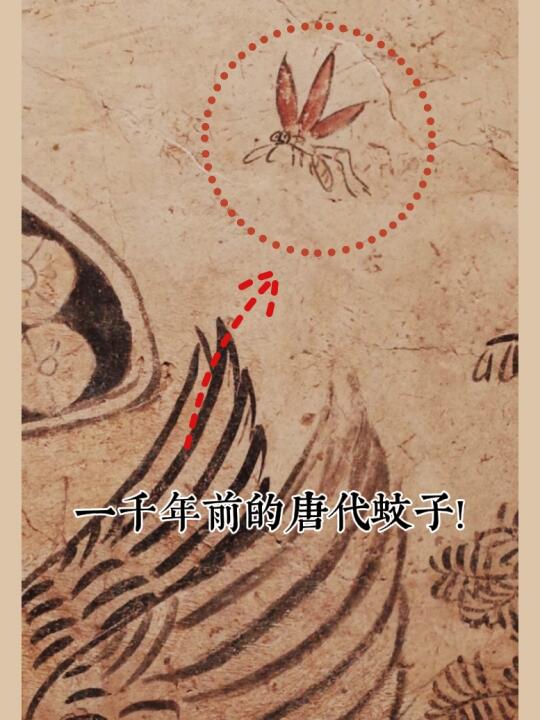 这副壁画记录着人类被蚊子支配了一千年