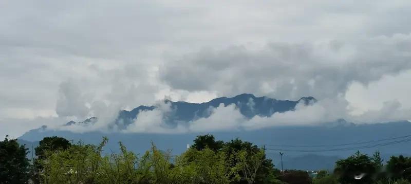 鹧鸪天·春归
               符进朝
落尽繁花春欲归，残红点点逐风