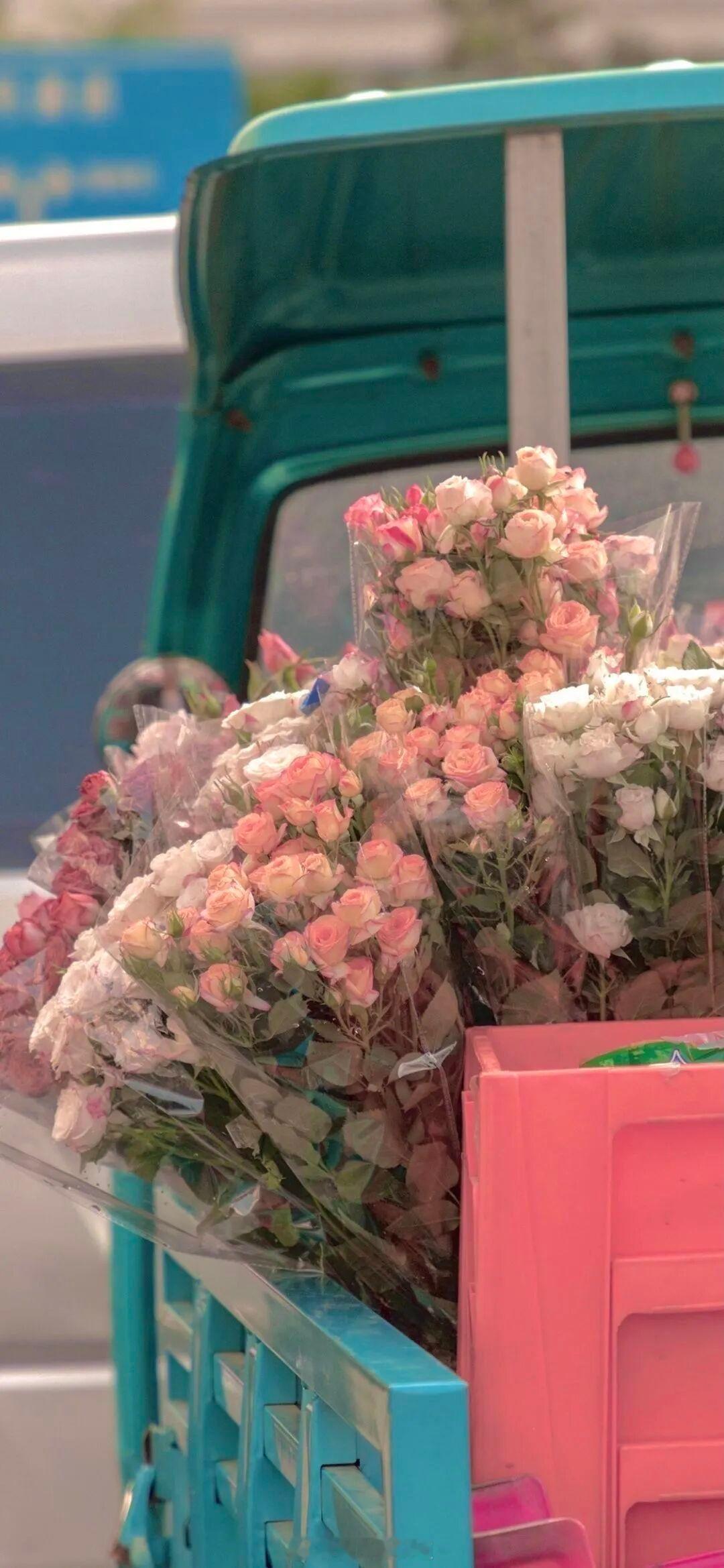 “我的心紧张得像根琴弦，你一出现，它就颤个不停。”——茨威格《一个陌生女人的来信