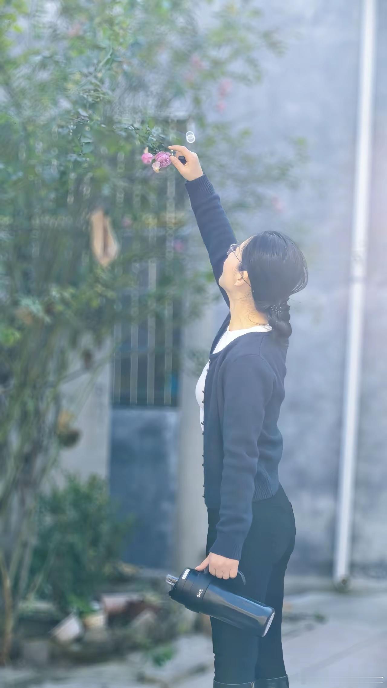 一枝红杏出墙来了