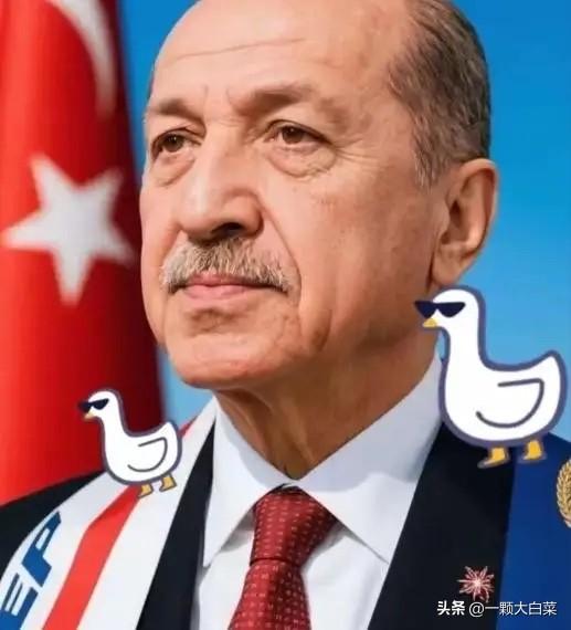 这次土耳其算是彻底打错了算盘！以为还能像当年卡我们要道那样，逼着中国企业低头。结