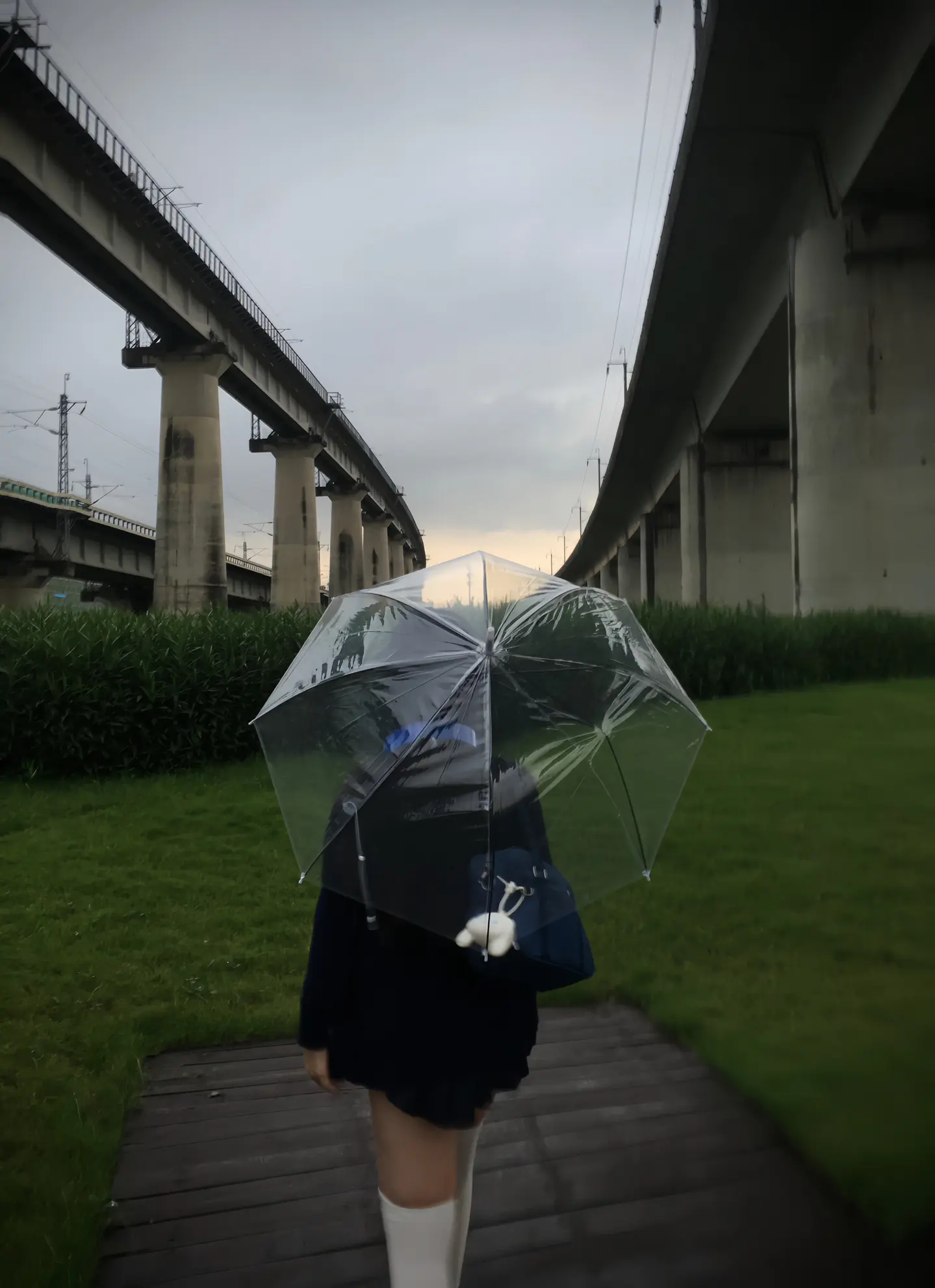 《散了，断了，疯了》 人生若无悔 那该多无趣
