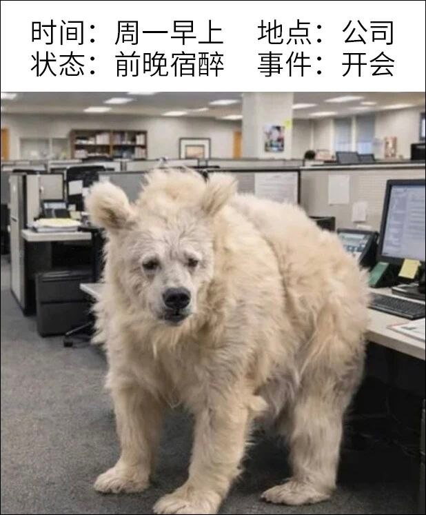 要死了 ​​​