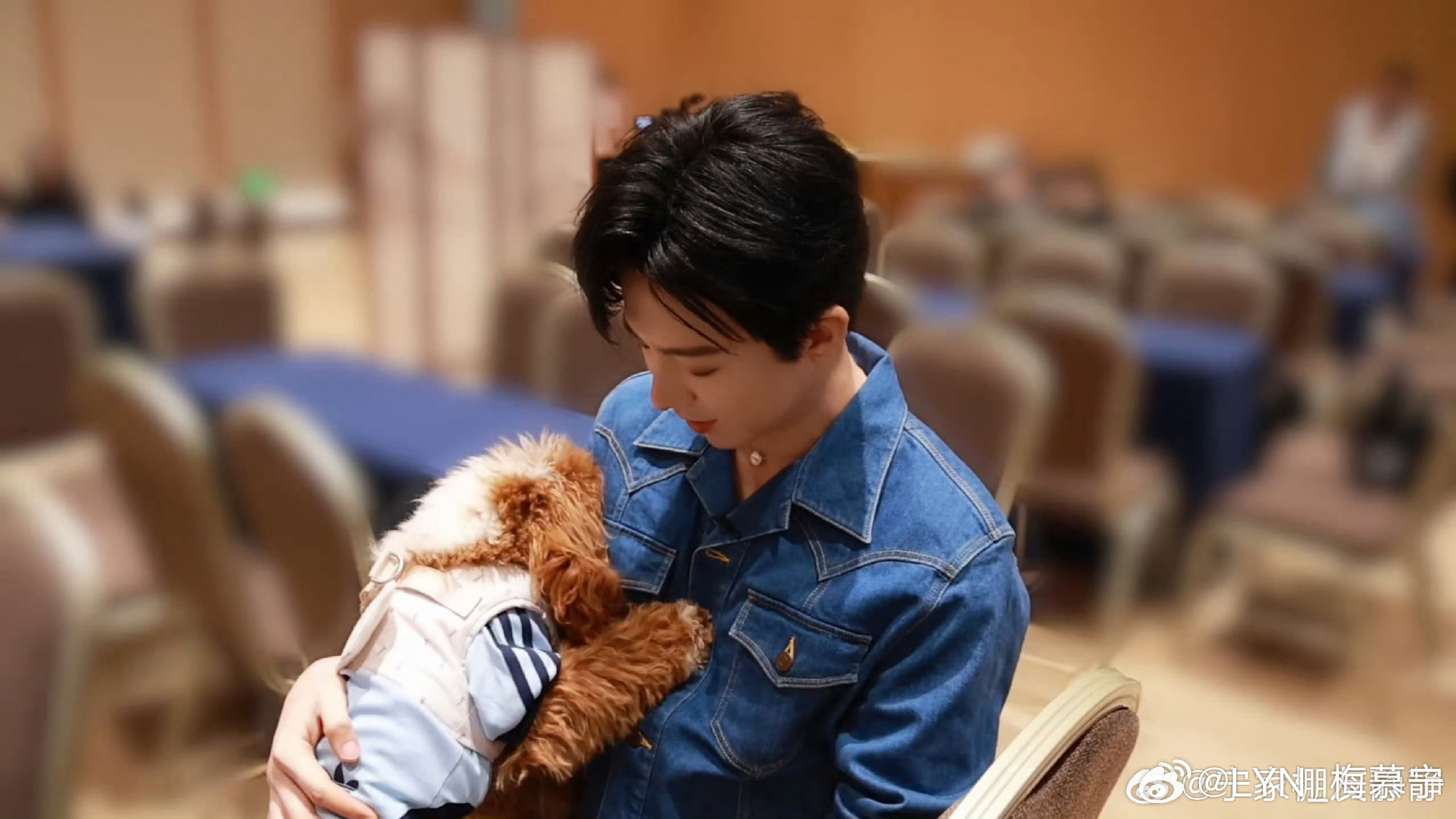 |  呆米呀，你哥背着你在外面有🐶了我猜，是不是你在北京演唱会表现有点儿怂，你