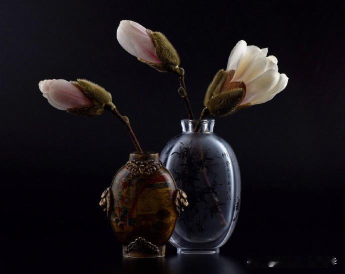 【插花主题静物摄影作品】 摄影师：Richard Kale