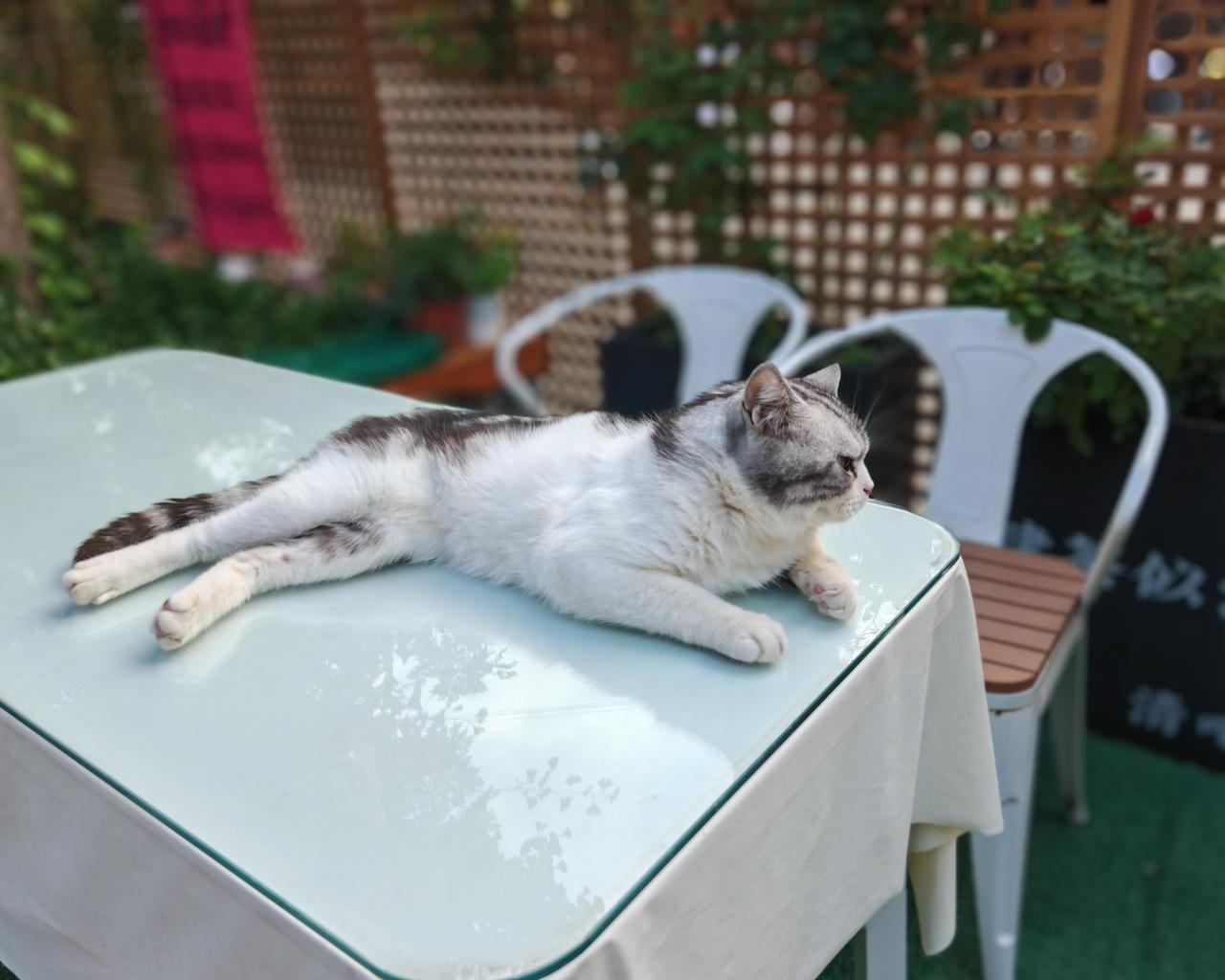 终于明白“积善之家必有余庆”这句话的含义了。斗了一辈子的风水大师，居然败给了一位