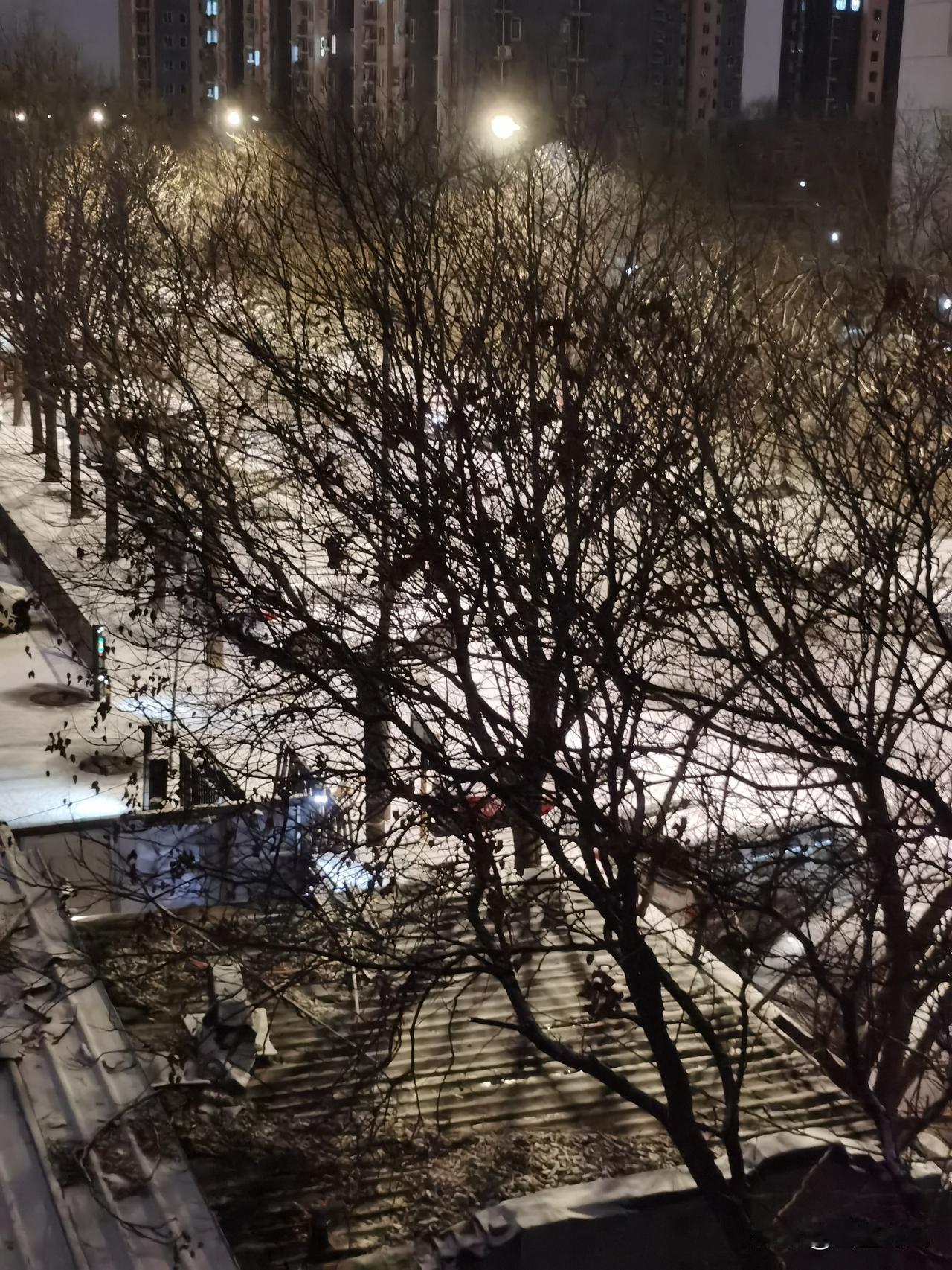 雪中灯火映，寒夜静无声。