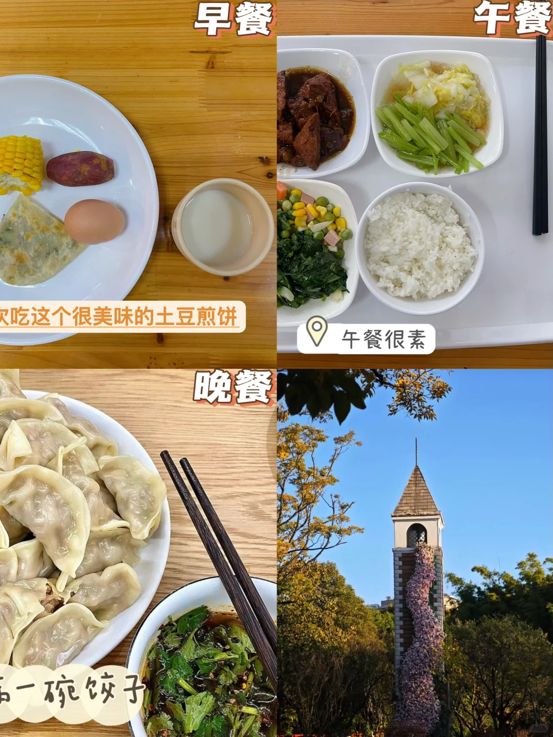 📅11.21｜ 好好吃饭｜今天好多事情🆘