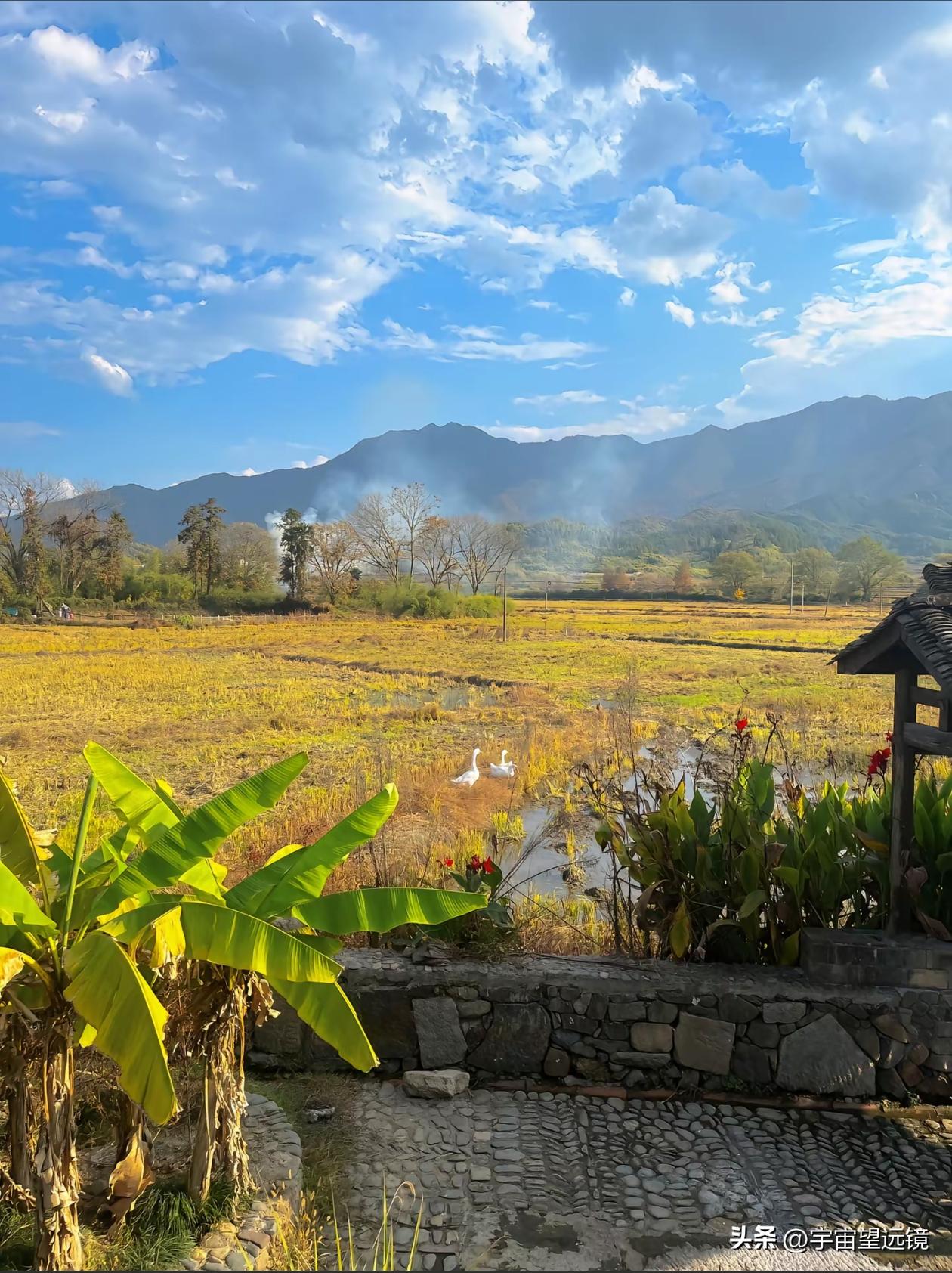请用一句话概括一下，什么是幸福