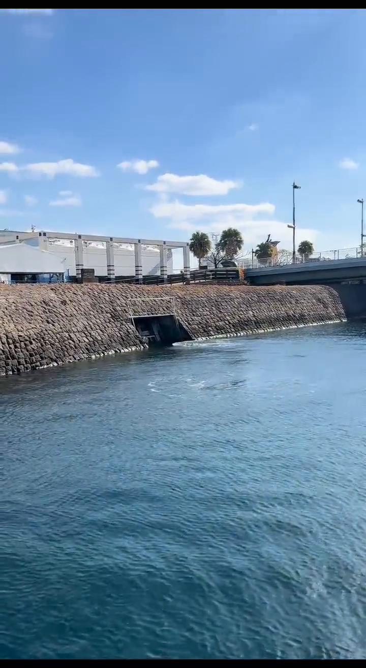 鹿儿岛水族馆。
位于风景如画的海滨，靠近樱岛渡轮码头。馆外还有一条海豚水路，是海