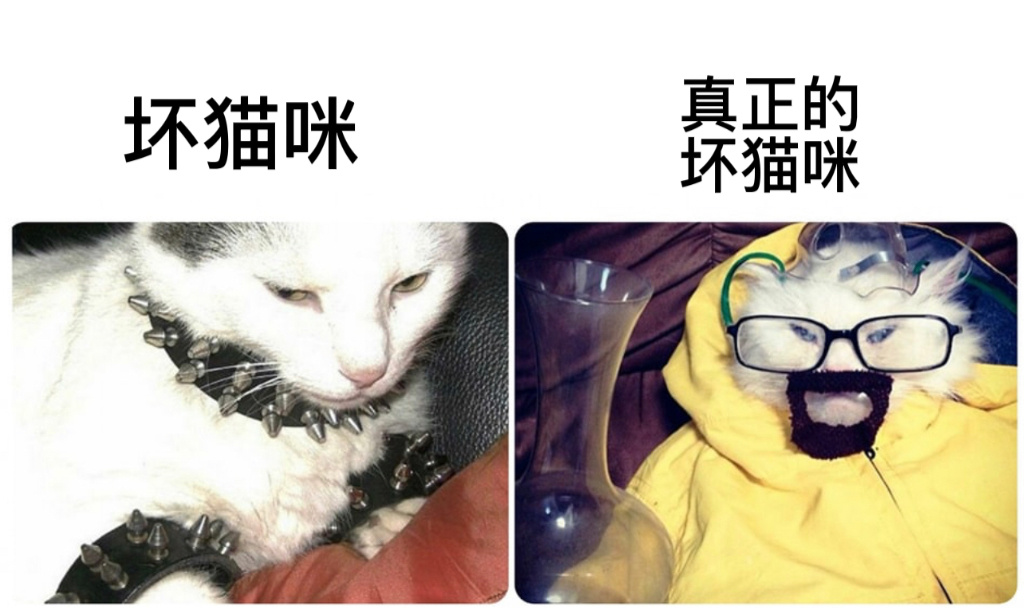 say my name#今日memes# //#龙年造梗大赛# ​​​