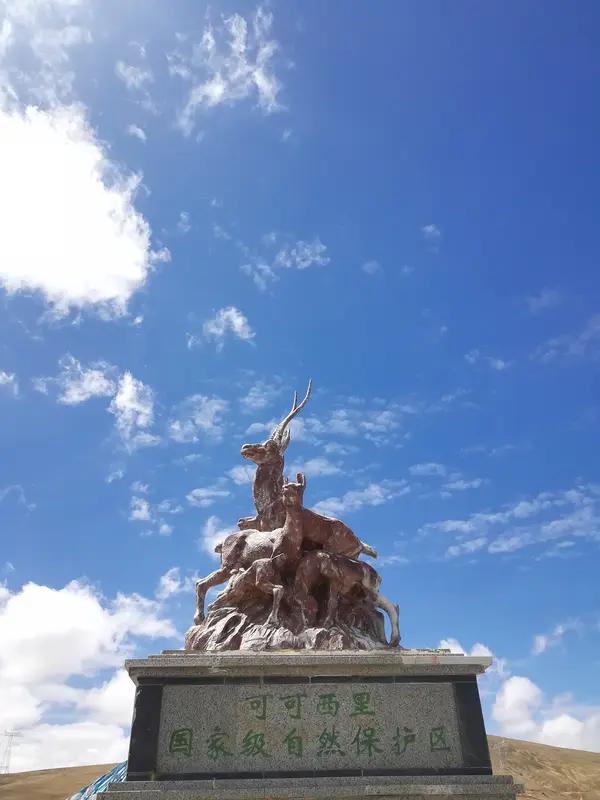 可可西里的精神，是守护自然、不畏艰险、无私奉献的精神。要传承和弘扬它，得从身边小