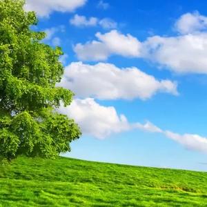 天空海阔聊体育