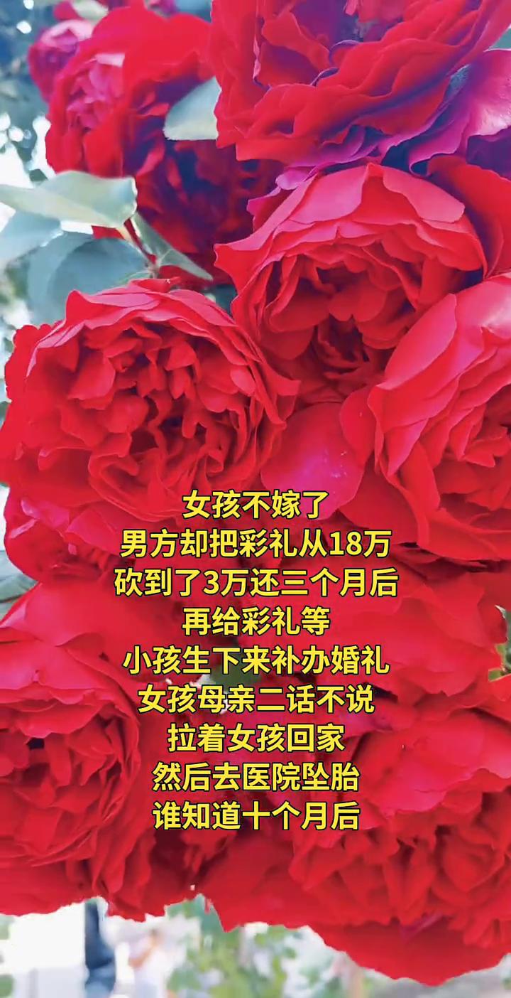 女孩不嫁了，男方却把彩礼从18万砍到了3万，还三个月后再给彩礼等小孩生下来补办婚