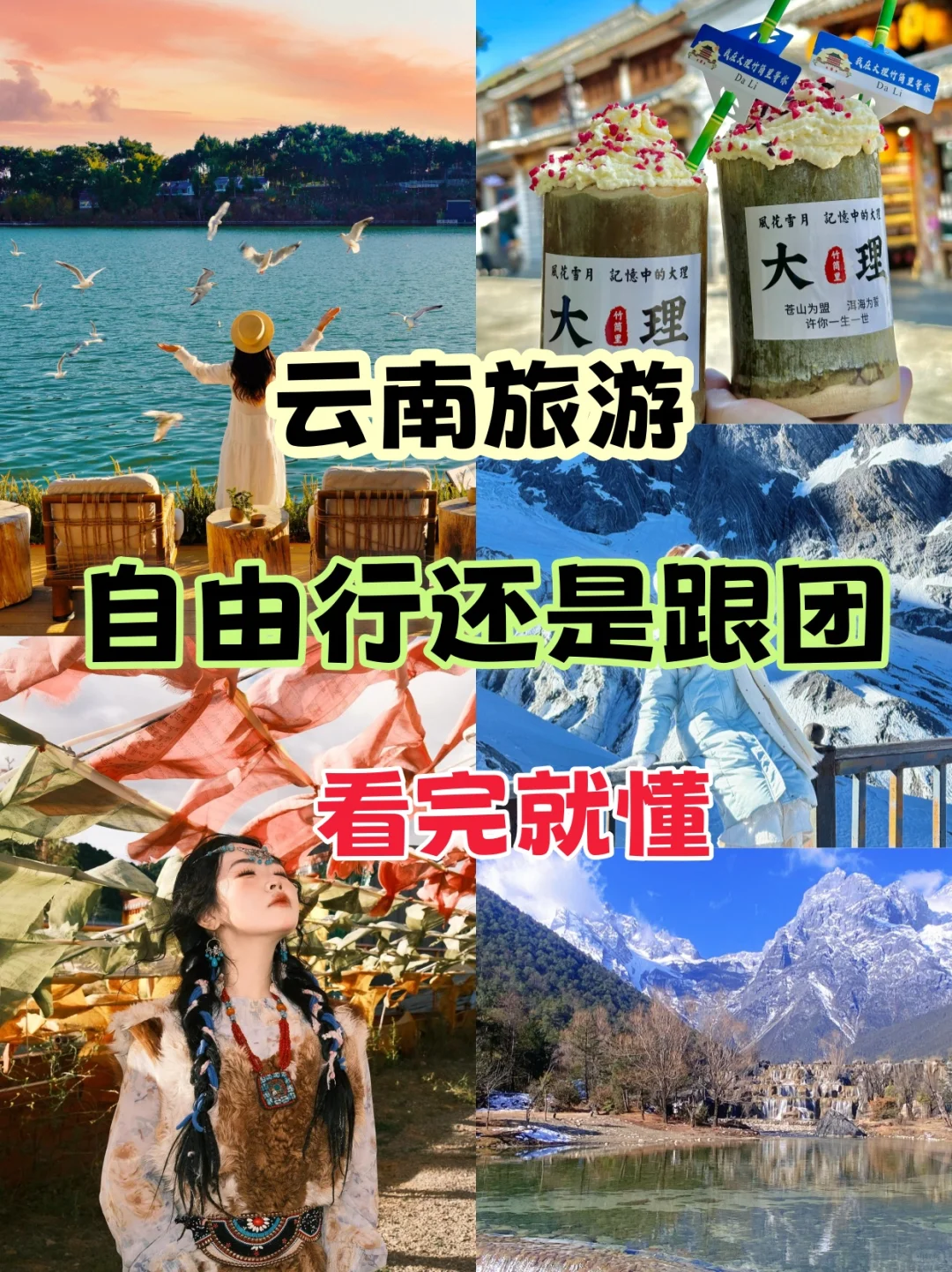 12-2月去云南🌈自由行🆚跟团，看完就懂