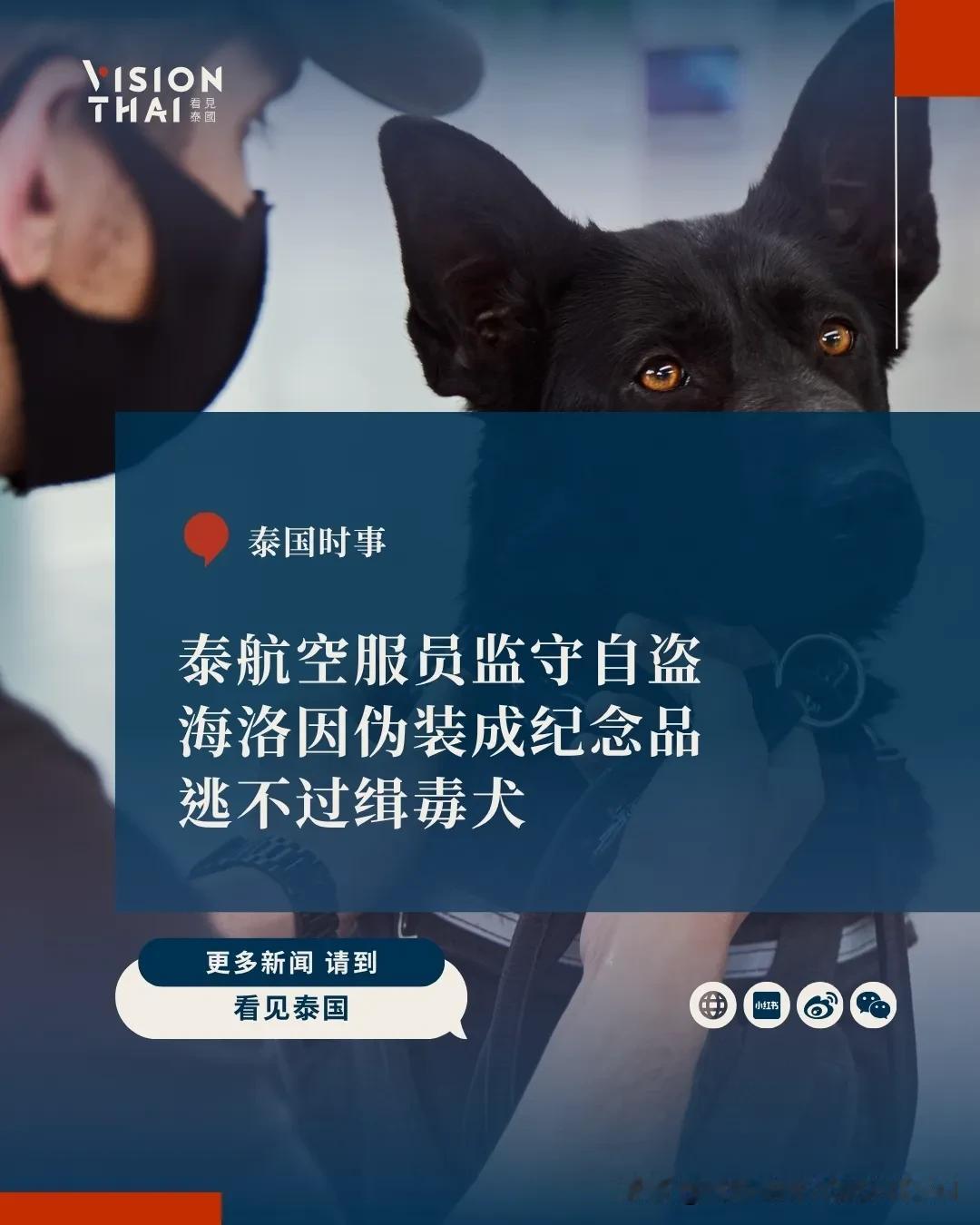 【泰航空服员监守自盗！海洛因伪装纪念品 逃不过缉毒犬落网】
一名26岁泰国航空(