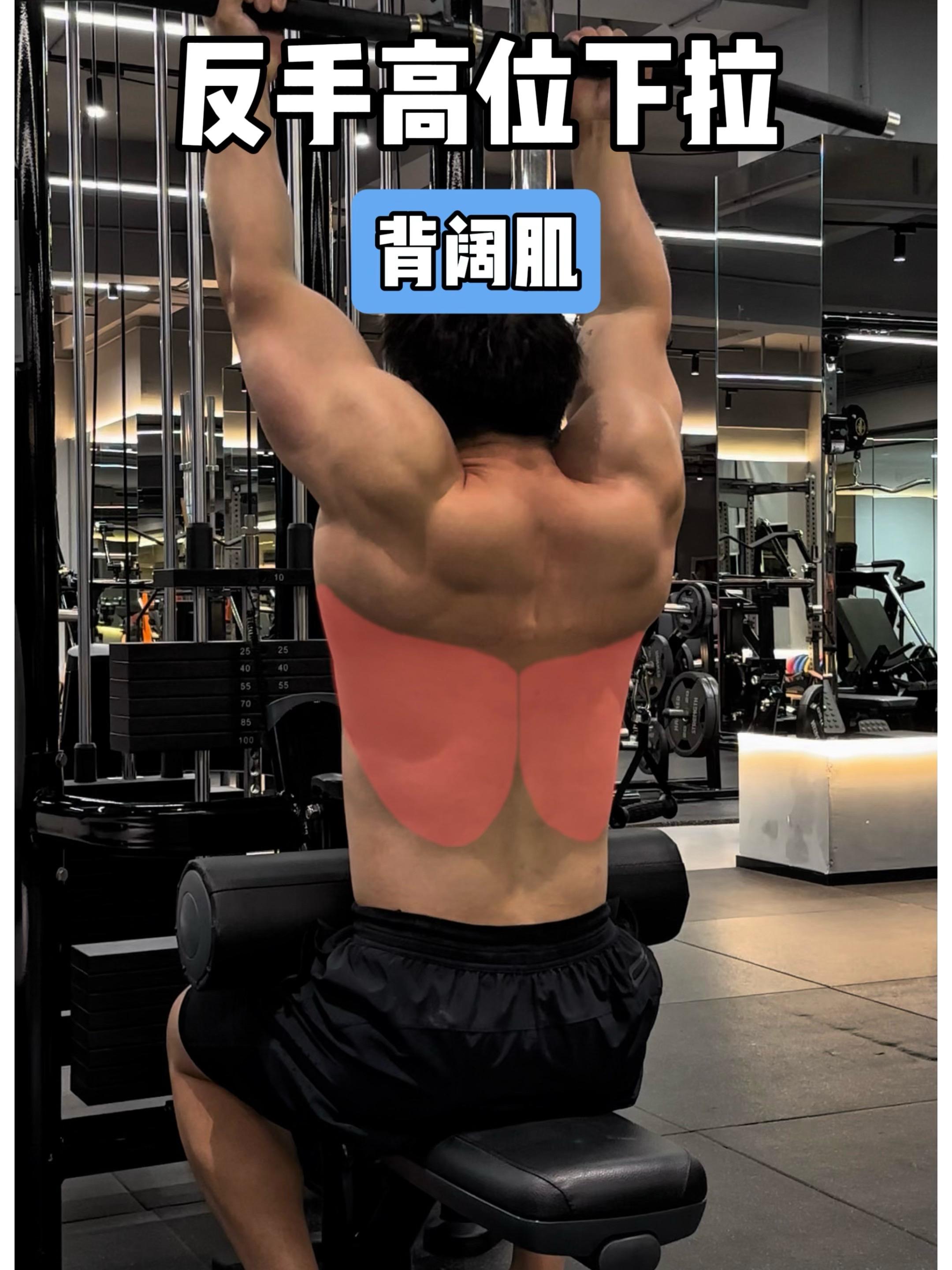 反手高位下拉，保姆级教程！ 一、目标肌群 反手高位下拉，背阔肌 二、练...