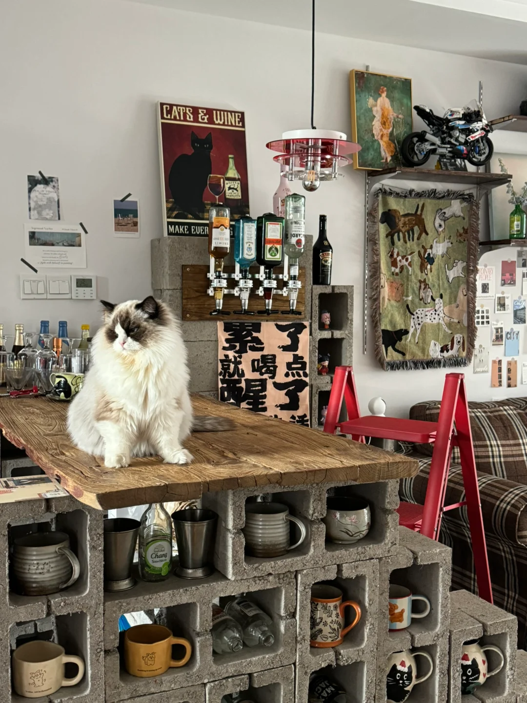 泥耗 猫猫98不高兴为您服务～