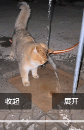 猫：就让这大雨全都落下 ​​​