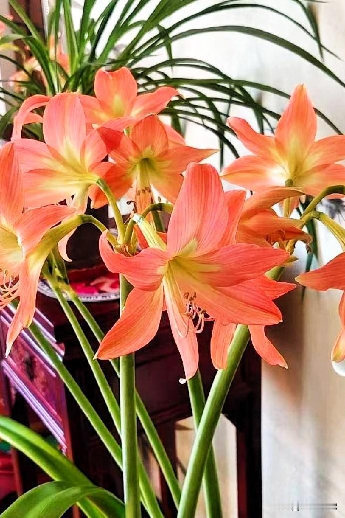 美好的一天又开始了！
友们生命中最有价值的一天，永远叫今天。

让我们把握住今天