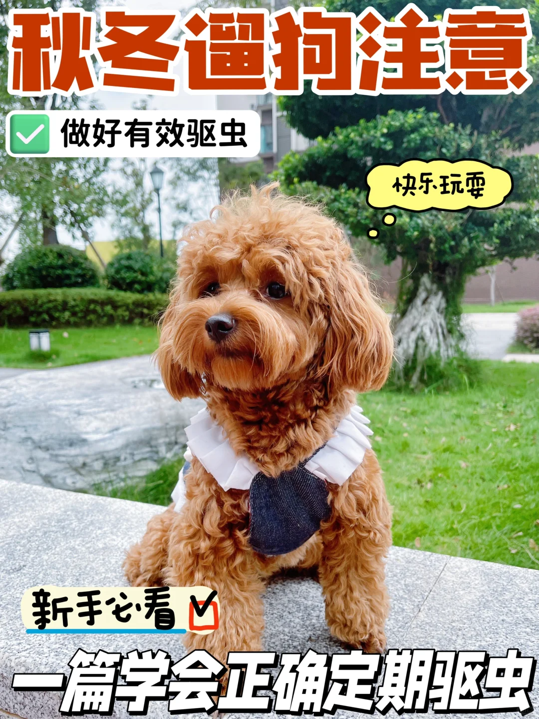 狗狗驱虫？这些注意事项抄作业！