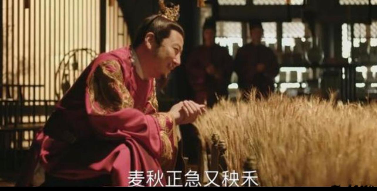 小宝刷知否。看到皇帝在大殿里种麦子，忿忿不平，“这怎么进行光合作用？又没有阳光。