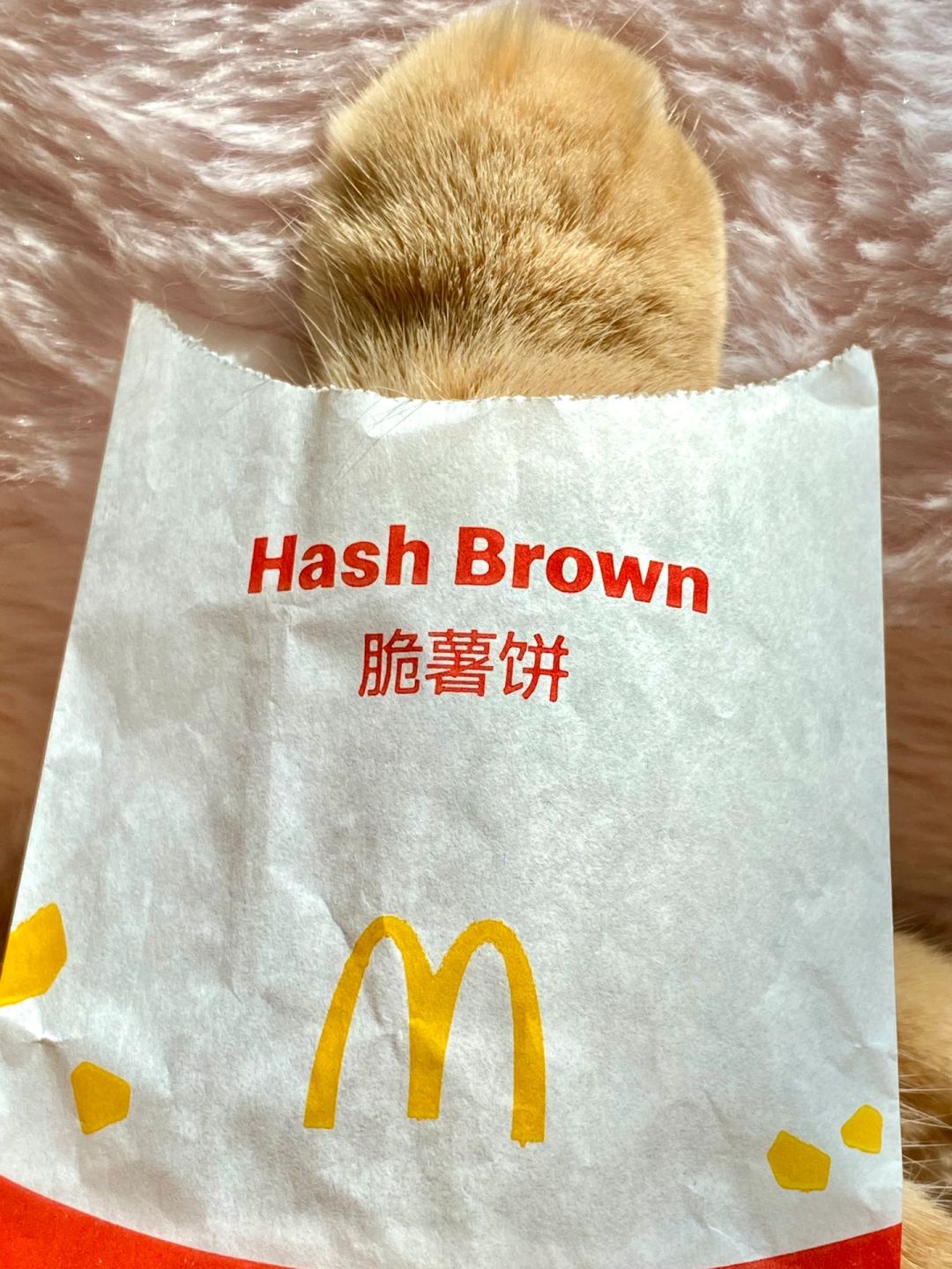 不懂就问！为什么我的薯饼长毛的？