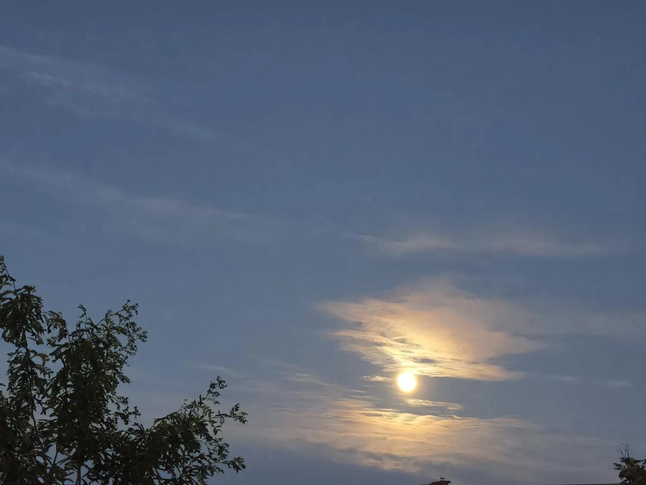 这不是初升的太阳
也不是傍晚的夕阳
而是已经记不清楚多年未见得
十五晚上的月亮