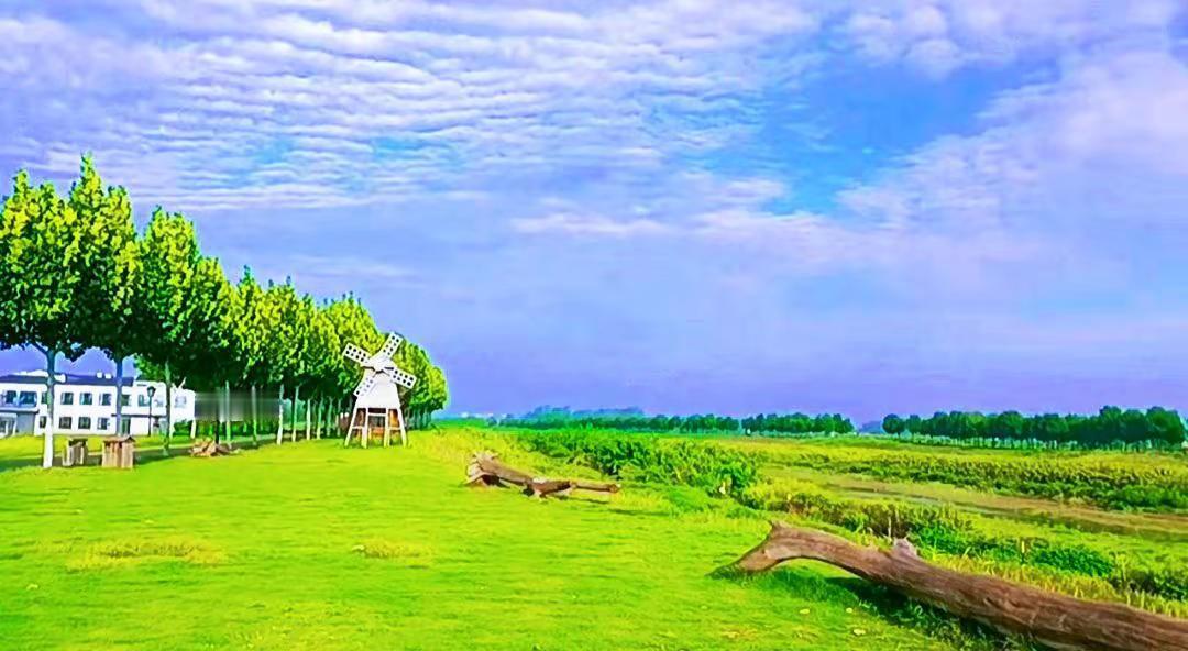 这是美丽的龙港湾！