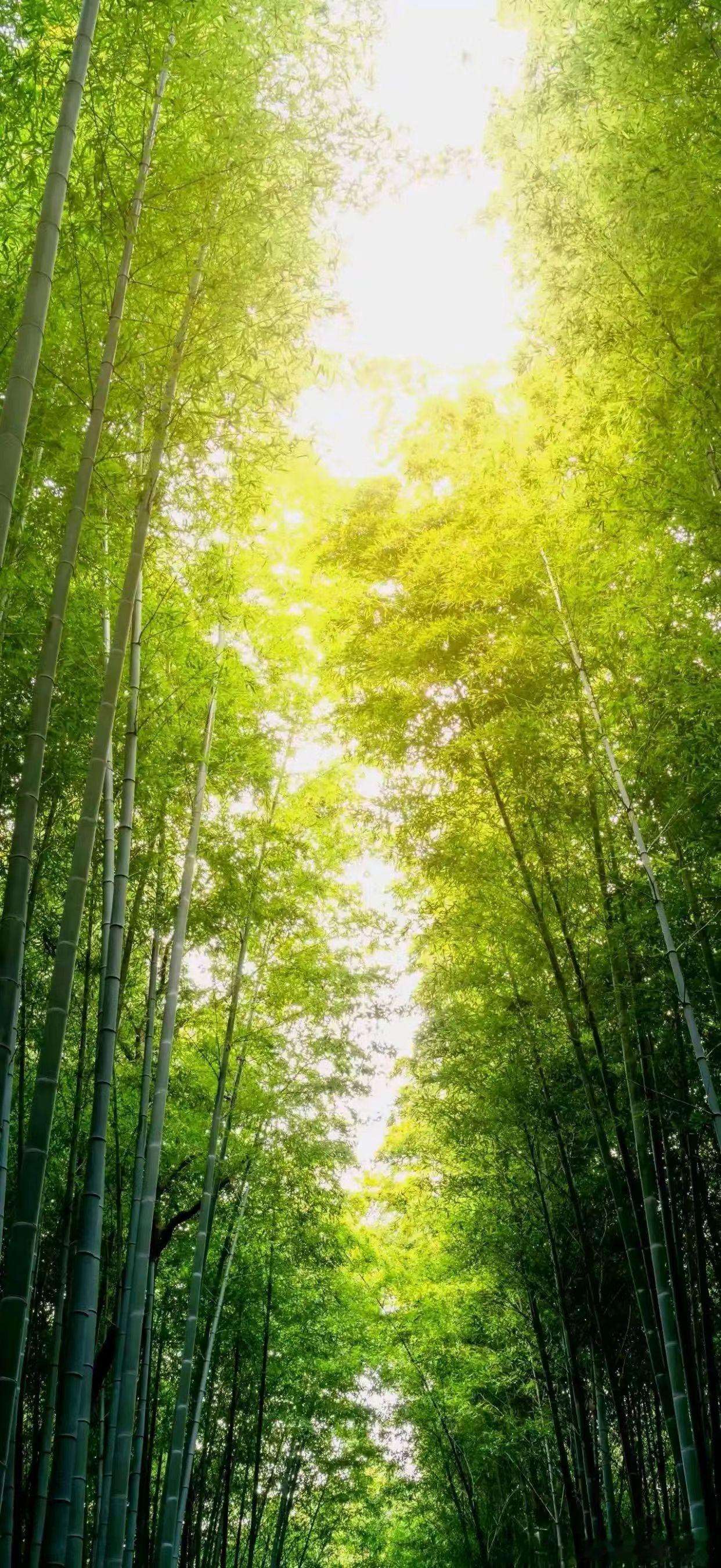 底线·默斋主人原创默斋体·四章短章其一 冰铁书柔软是有额度的像河面的冰，薄处只够