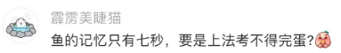 鱼比人更适合学法大学生喜爱内容共创计划毕业季