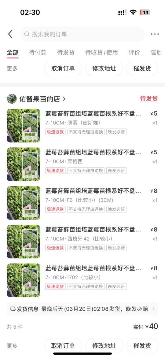 就不该熬夜的，熬夜就喜欢买东西，蓝莓坑真香