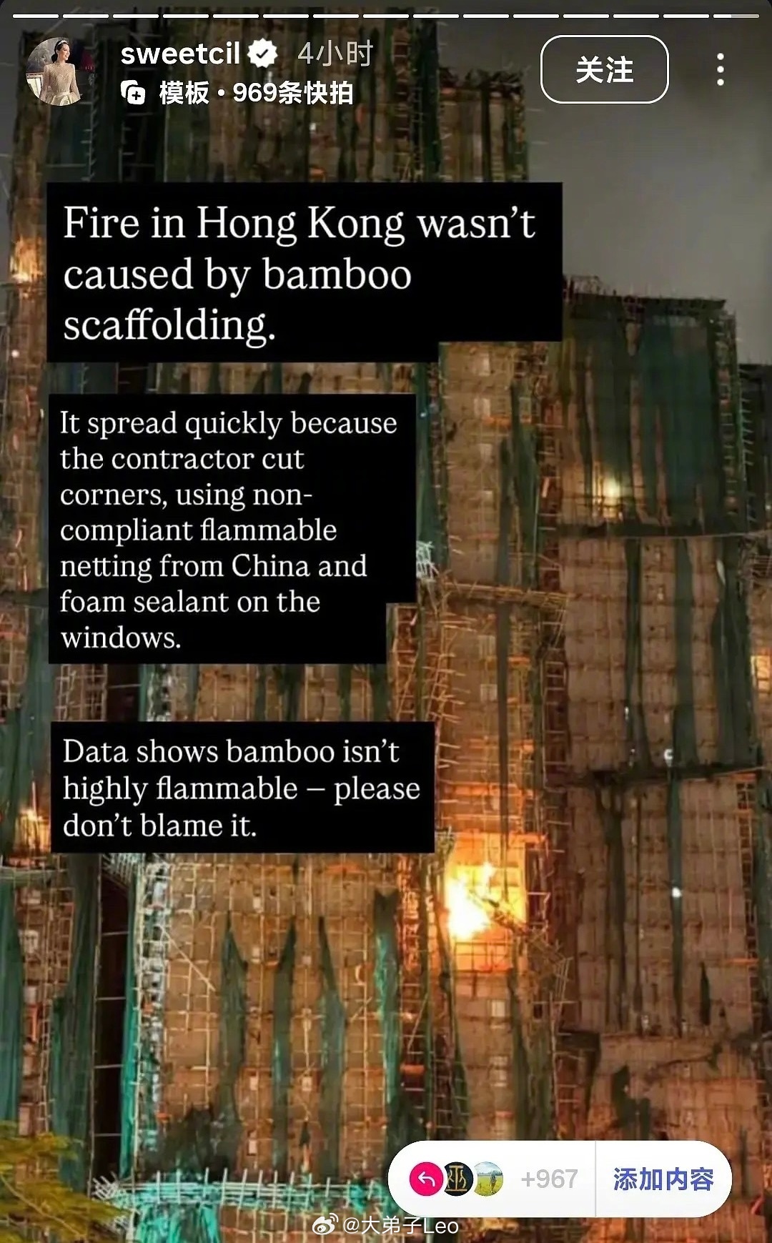 甄子丹老婆IG发文  甄子丹老婆ins发文