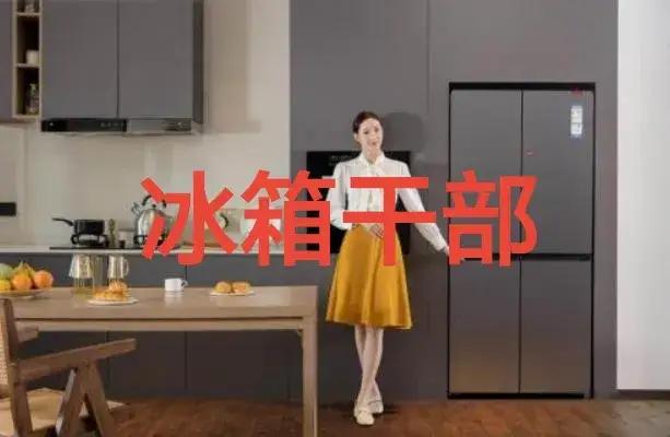 杜绝冰箱是干部，恢复全心全意为人民服务
我们党的三大作风是：理论联系实际、密切联