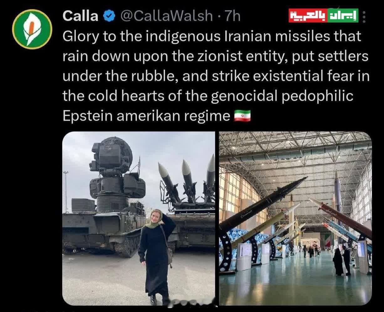 一位美国女记者发布了一张展示伊朗导弹和无人机成就的图片，并写道：“向伊朗国产 的