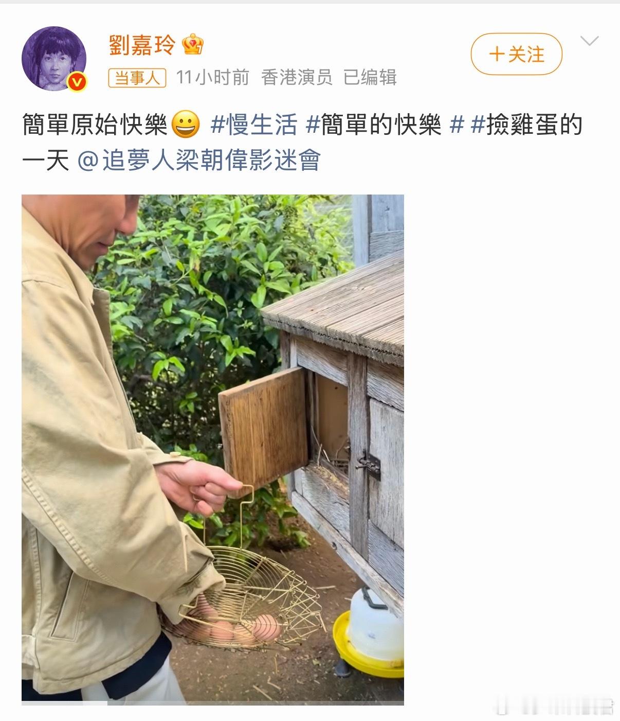 梁朝伟捡鸡蛋张曼玉挖芋头刻在中国人骨子里的养殖和种植，梁朝伟、张曼玉也不例外