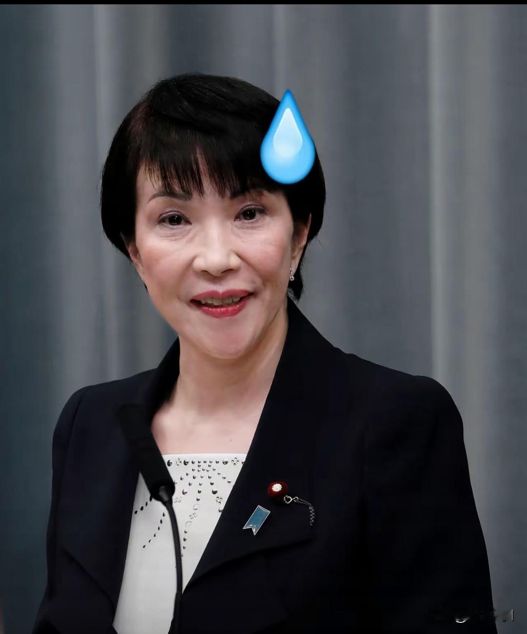 11月11日，日本宣布要上调2026年来日本的旅游签证费，这是日本要来旅游的人拒