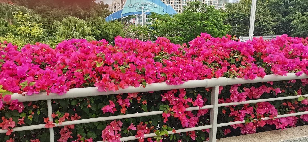 此次A股下跌调整何时见底？
不绕弯子，直接点明
当创业板科技板块调整到位，便是大