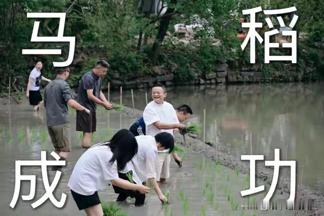 这几天大企业家们都非常忙。[赞]
您看看马云都忙着插秧去了！雷军呢，没时间吃饭，
