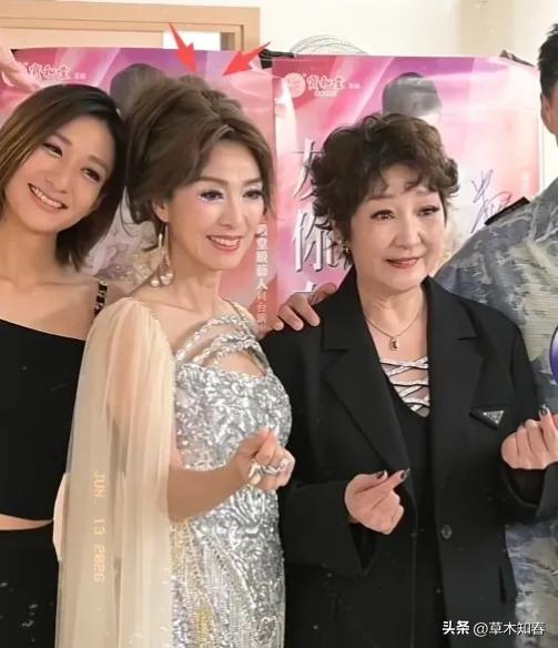 明眼人其实都能看得出来。70岁的米雪之所以要开演唱会，根本不是为了出来捞一笔钱的