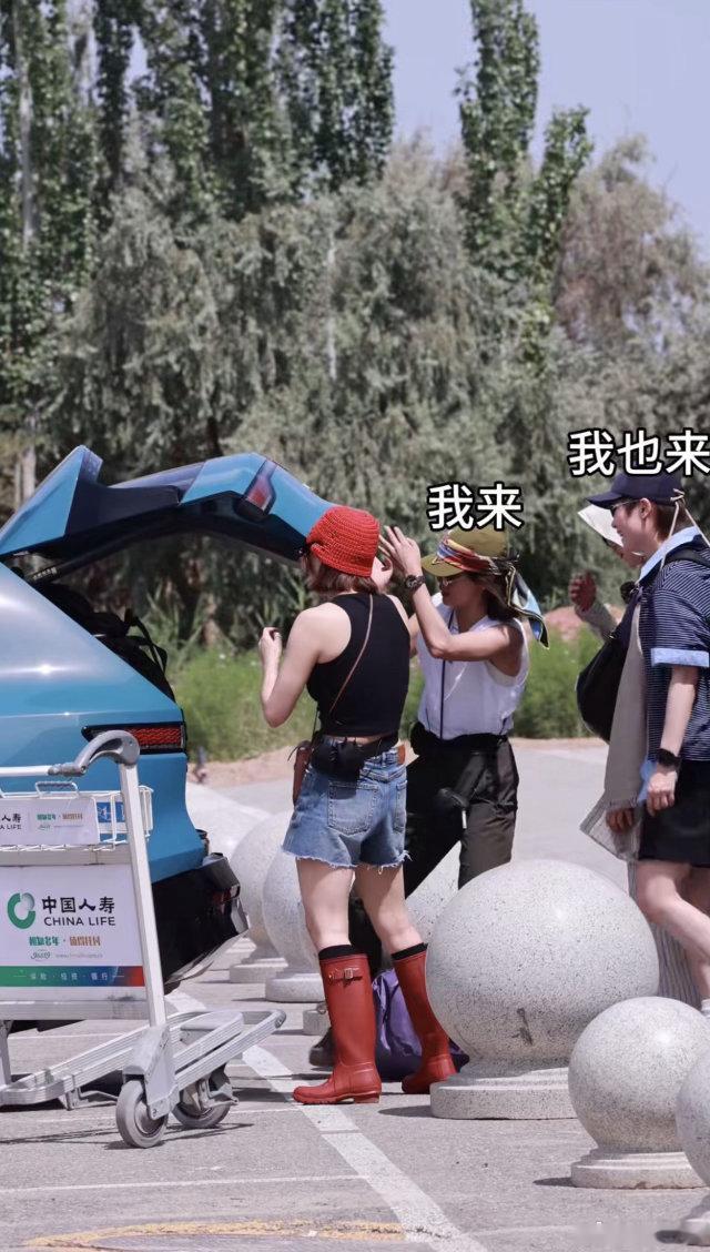 李宇春辛芷蕾高叶倪妮化学反应向野的我们 熟人局的默契感真的绝了！姐姐们互相帮忙搬