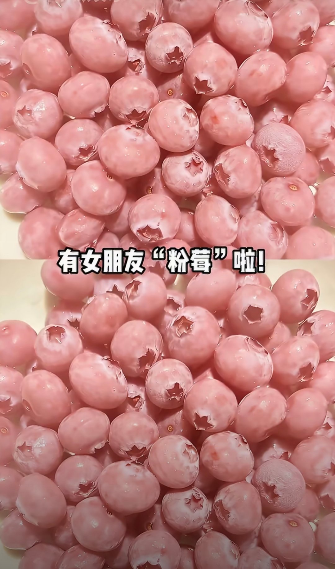 粉色蓝莓蓝莓是蓝色的，那粉色的蓝莓是不是应该叫粉莓