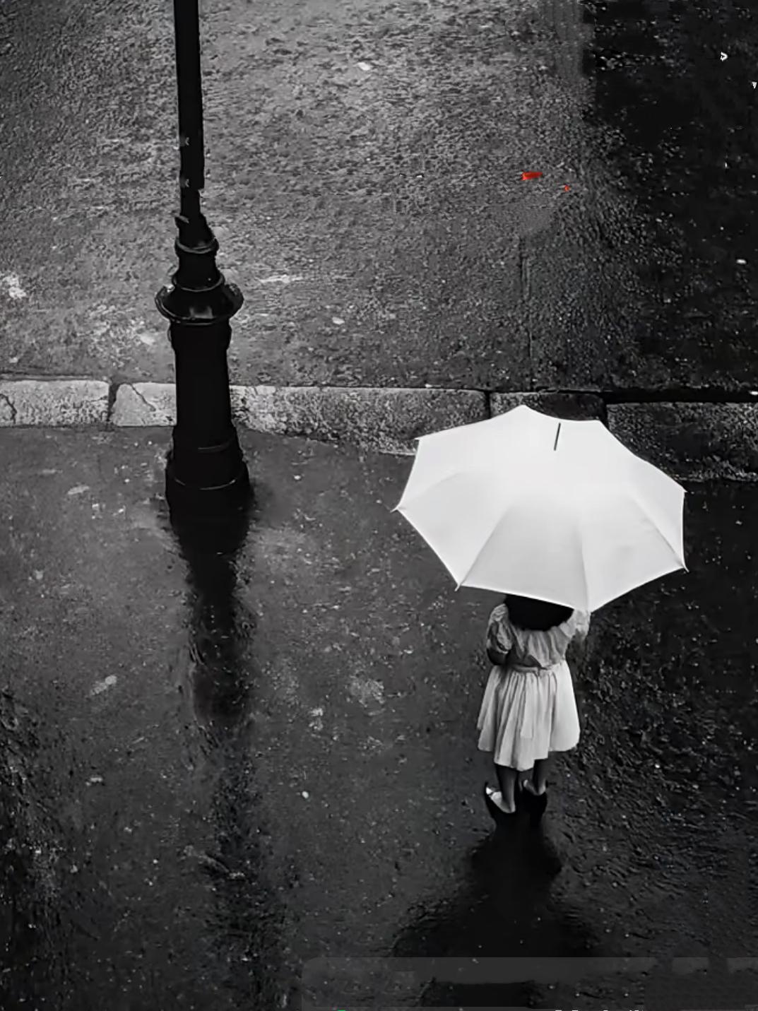 在雨中……