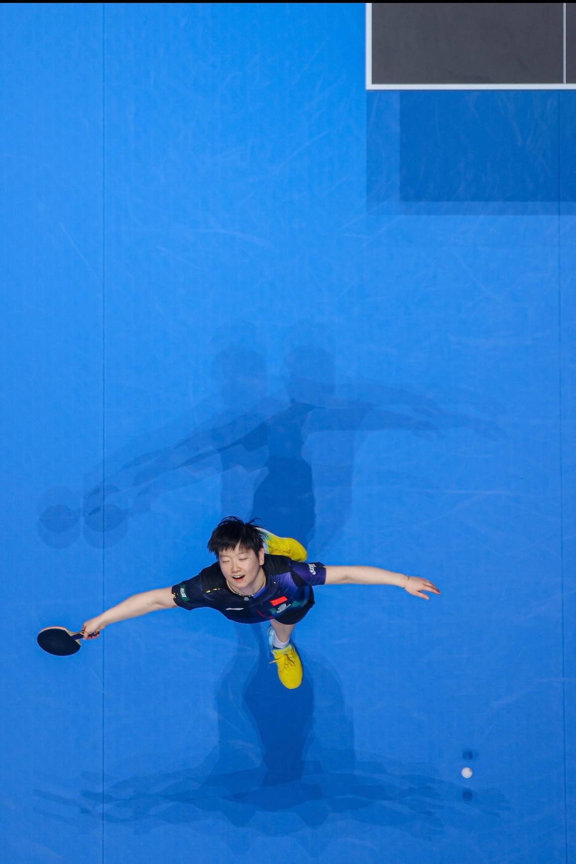 我与我周旋久，宁做我。🏆 