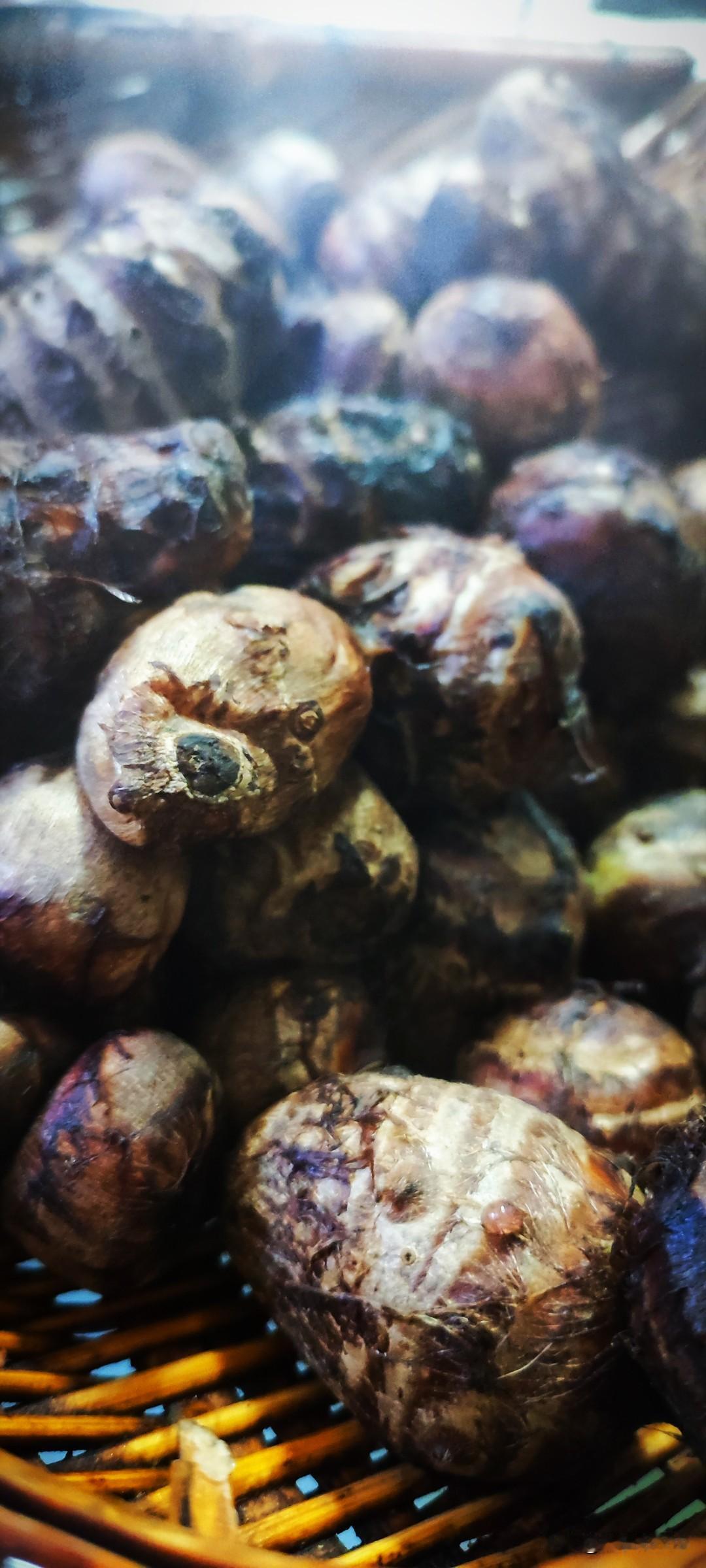 晒图笔记大赛我喜欢吃芋头，小小的圆圆的，就像汤圆一样大小。抠掉尾端的皮，对着嘴一