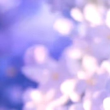 阳光信用‎阳光‎信用 ‎每日一善 人生不必计较太多，不必在意成功与失败，它会被岁