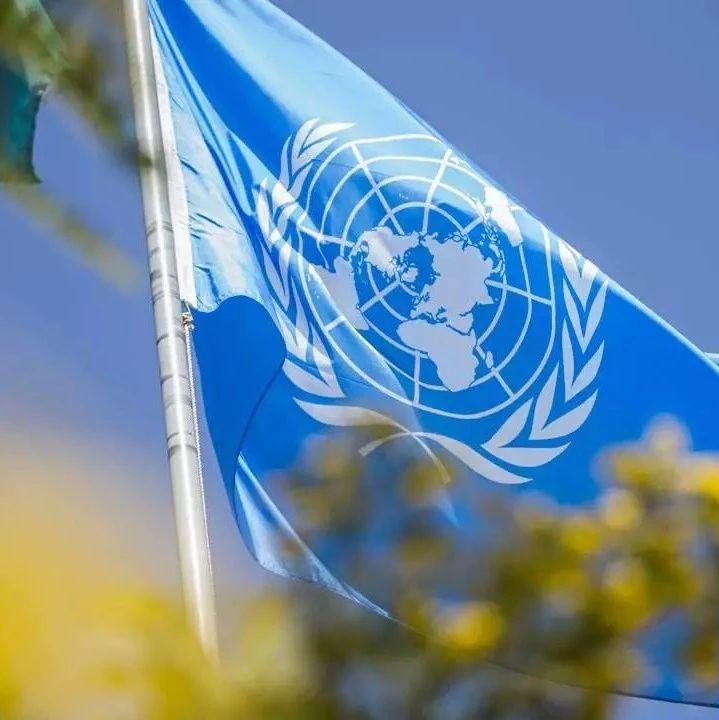 联合国内部关系户一堆，干活的没几个！大国凭啥还砸钱？
这病得有人治，可新秘书长敢
