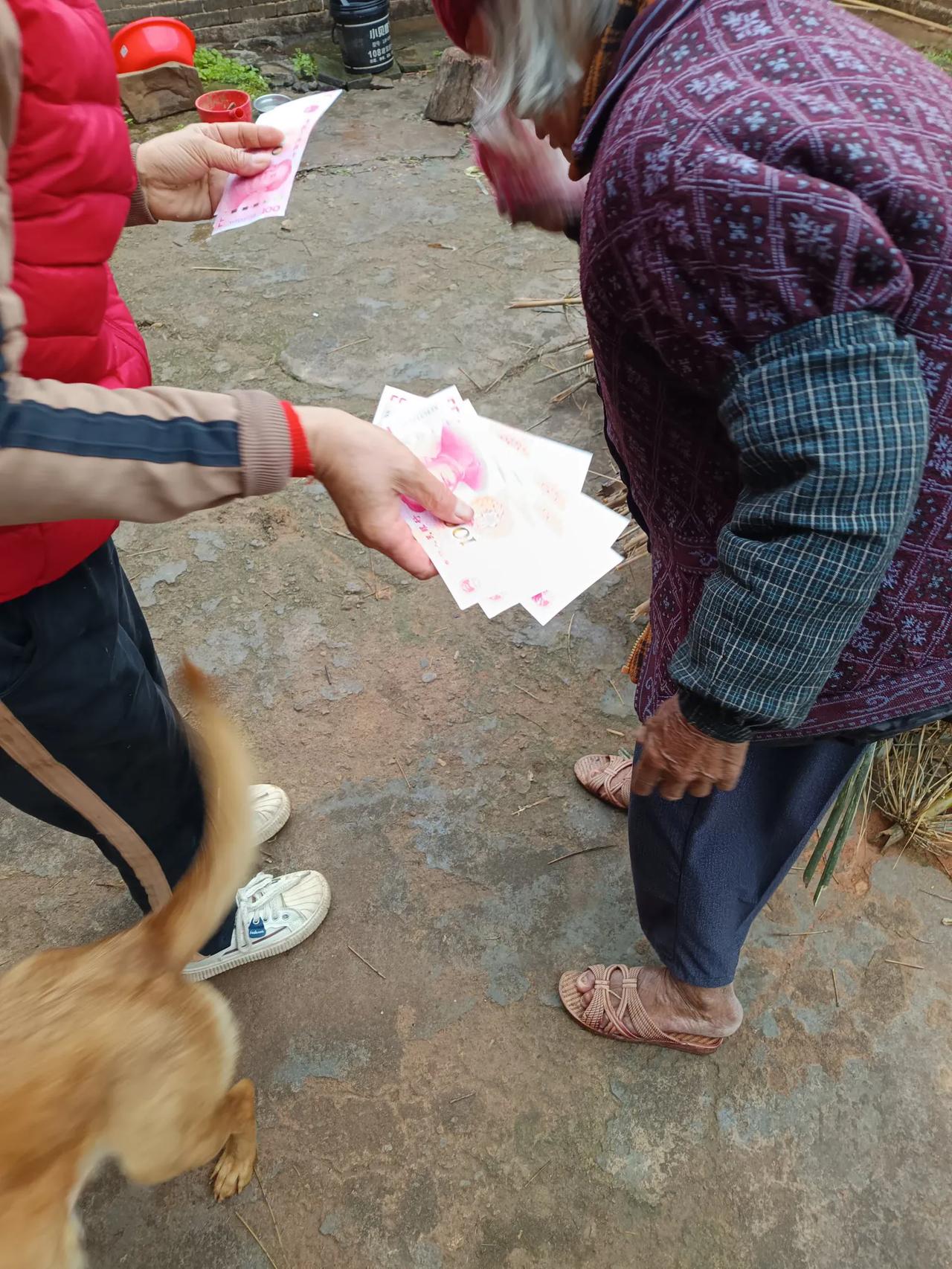 今天是婆婆生日，来了三位客人，大姑姐和她的两个孙，我煮饭给婆婆和大姑姐吃饭后，急