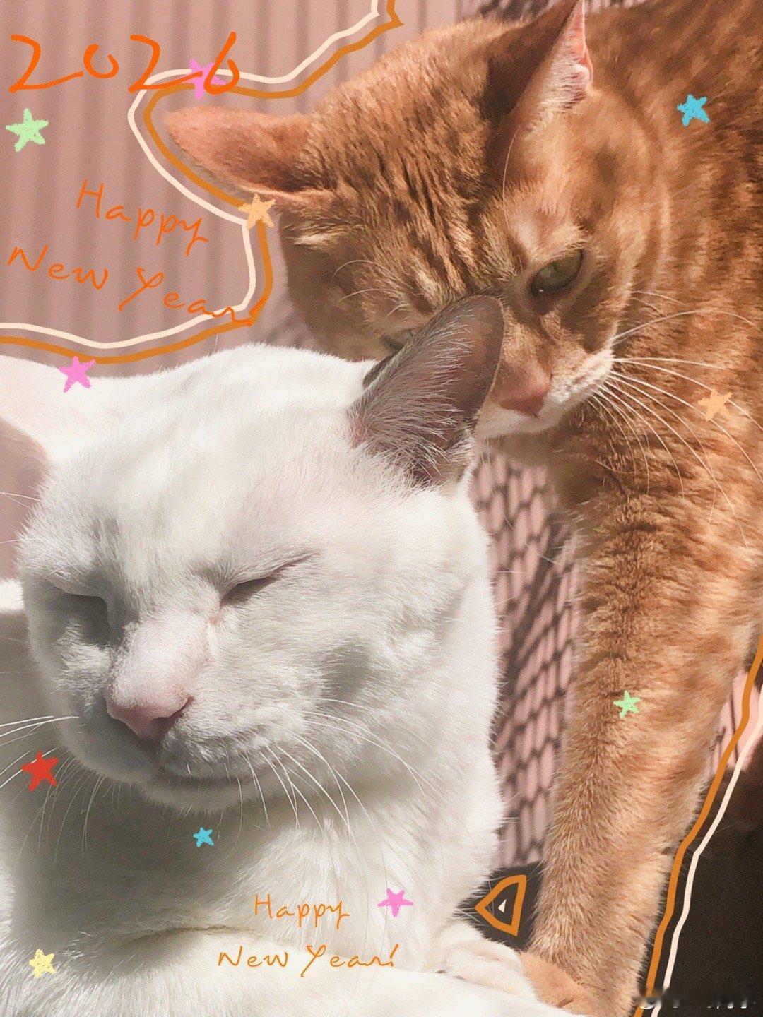 新年快乐，朝气蓬勃噢！ 