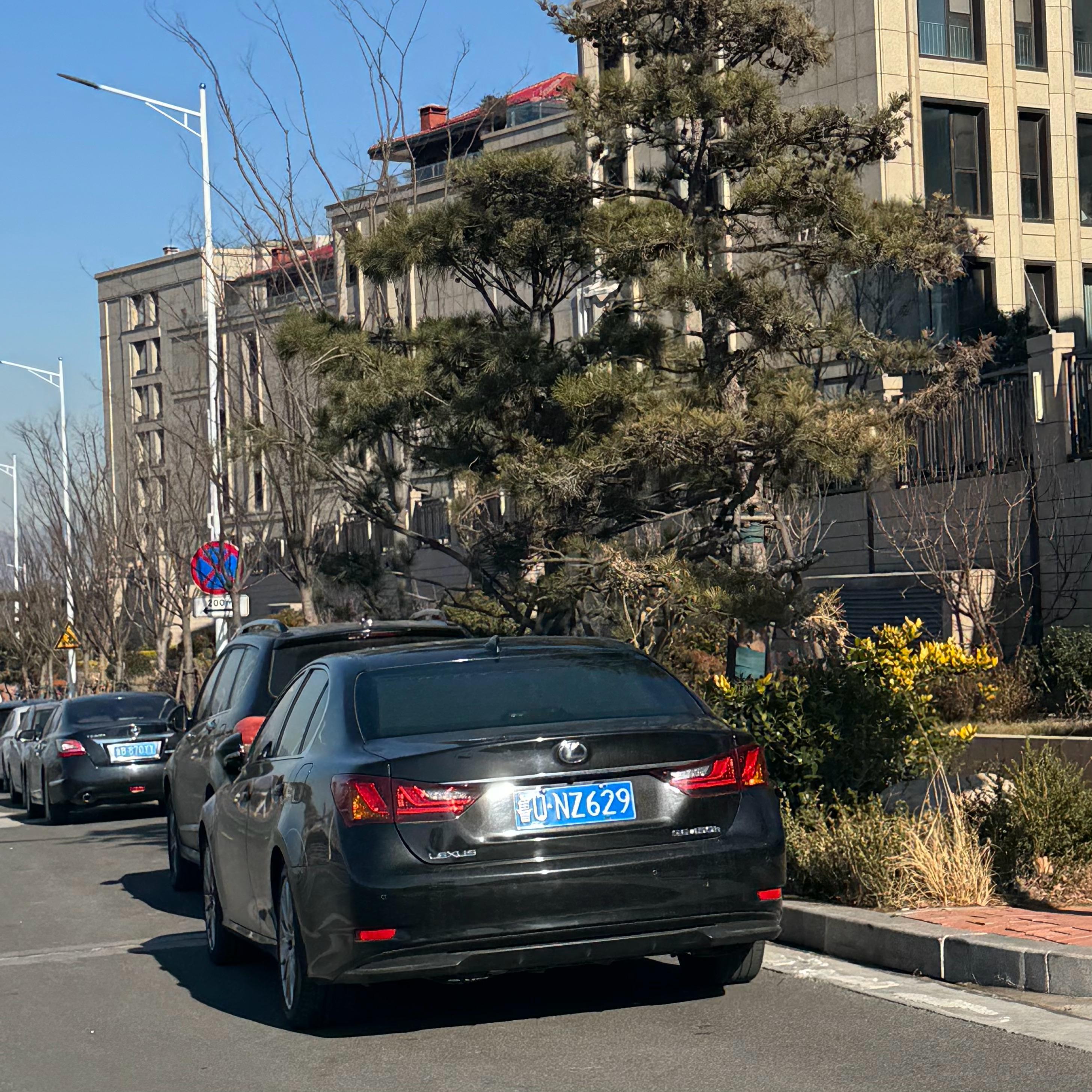 国内稀有车 近期有意思的车 GS450h 翼豹XV！ 